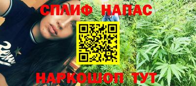 индика Тулун