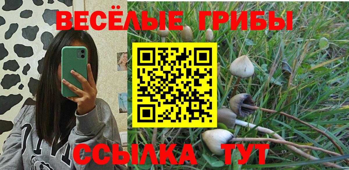 Галлюциногенные грибы ЛСД Нефтекамск